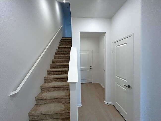 Photo - 8444 Milk Thistle Ln