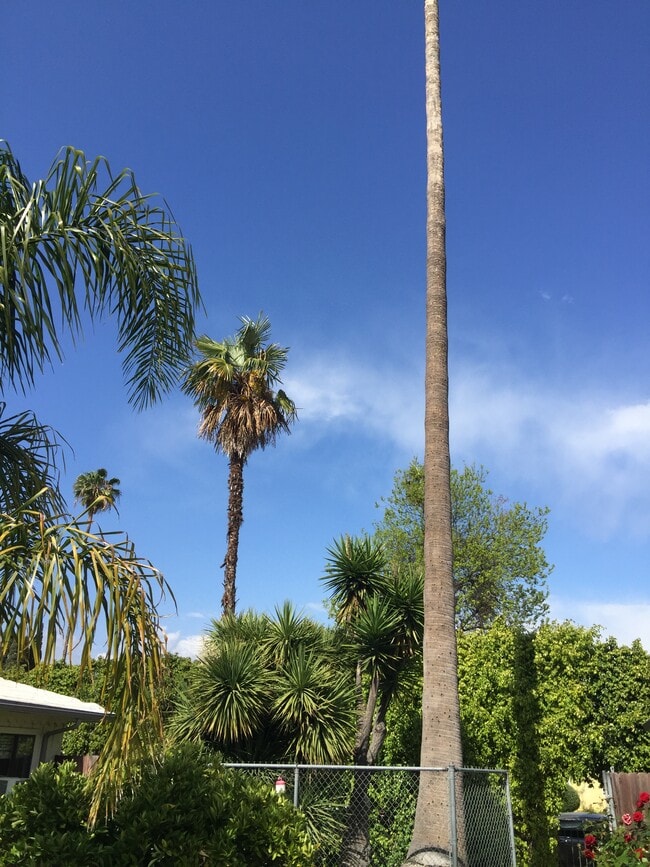 Photo - 263 N Florence St