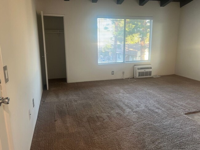 Photo - Archibald-7781