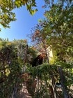 Photo - 212 3rd Ave Apartments Unit Ocean View Month to Month
