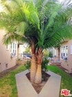 Photo - 1841 Normandie Ave Condo Unit 2