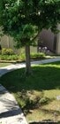 Photo - 5484 Dobbs St Condo Unit 130