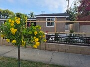 Nature's touch - 901 E Occidental St