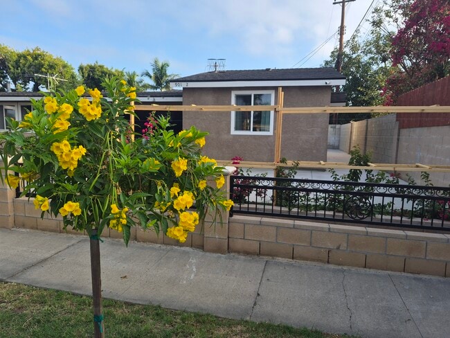 Nature's touch - 901 E Occidental St