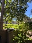 Photo - 11264 Portobelo Dr