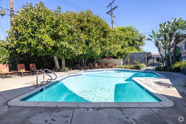 Pool - South Olive Apartments