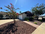 Photo - Beautifully Updated 4 Bedroom, 3 Bath Sing... House