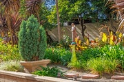 Garden. - Bay Towers at Bixby Knolls - 55+ Senior Ap... Apartments