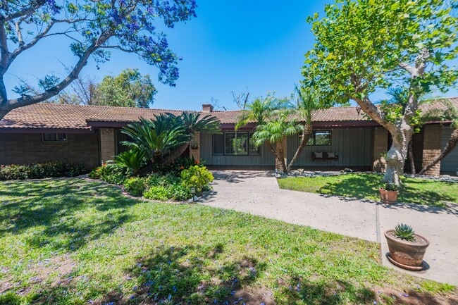 Building Photo - 3 Bedroom Ranch-Style Home on Avocado Grove Property in South Morro Hills