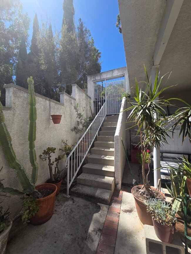 Photo - 908 Robinson St Unit 908 Robinson St.