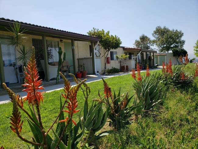 Vista Del Pacifico Apartments - Vista Del Pacifico Apartments
