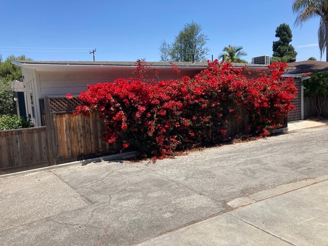 Photo - 26010 Regent Ave