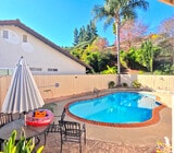 Pool - 776 Dewane Dr