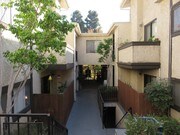 Photo - Shelby Expo Apartments