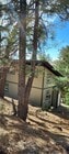 Photo - Move-In Ready Newer Tiny Home in The Forest