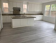 Photo - 67 Island Coral