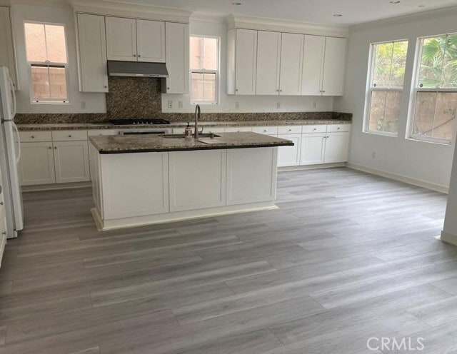 Photo - 67 Island Coral