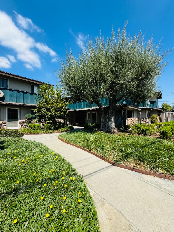 Photo - 8919 Longden Ave
