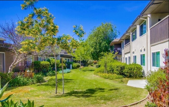 Building Photo - Freshly remodeled 3br/2ba with attached 2 car garage close to USD!
