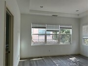 Photo - 67 Island Coral