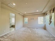 Photo - 183 Bright Poppy