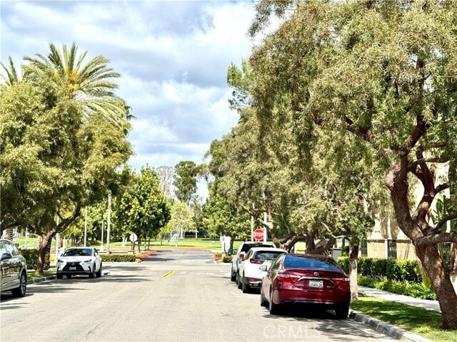 Photo - 88 Sarabande