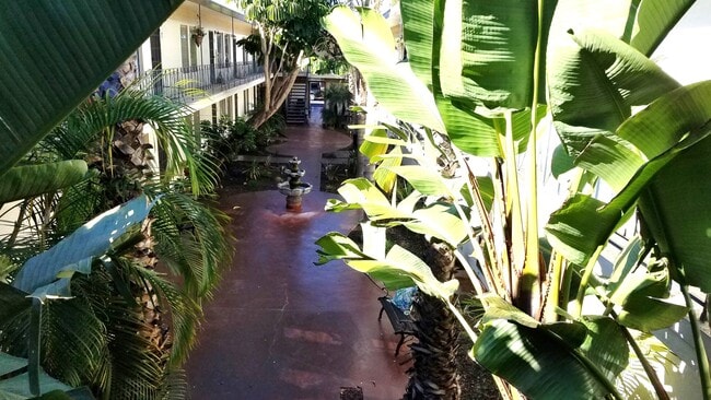 Photo - The Palms