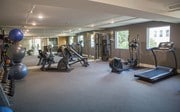 Fitness Center - Francis Bliss