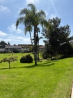 Photo - 407 Requeza St Condo Unit E-3