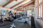 Fitness Center - Spring Tree Apartments