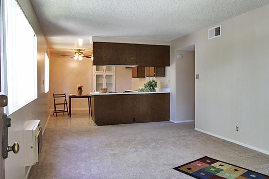 Photo - Sutter's Mill