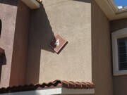 Photo - 41410 Juniper St