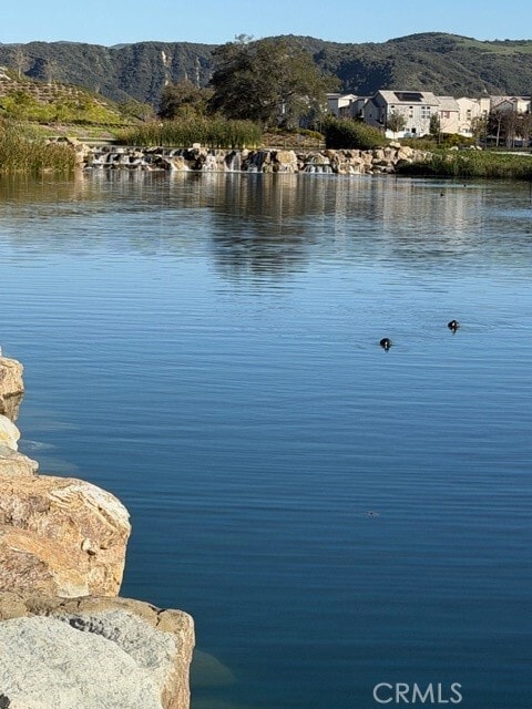 Photo - 41 Little Owl Ct