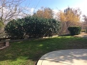 Photo - 3 Bedroom 2 bathroom Home in Corona