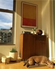Living room area (napping puppy not included) - 801 S Grand Ave Unit 1601