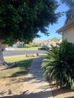 Photo - 3-Bedroom Home, Large Rear Yard!
La Quinta, Long-term (1 Year) Rental