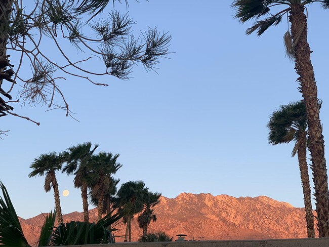 View from the yard - 2872 E Ventura Rd