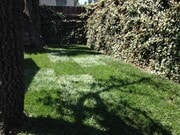 Photo - 6116 Fountain Ave