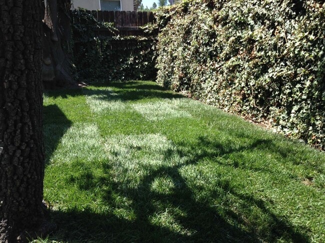 Photo - 6116 Fountain Ave