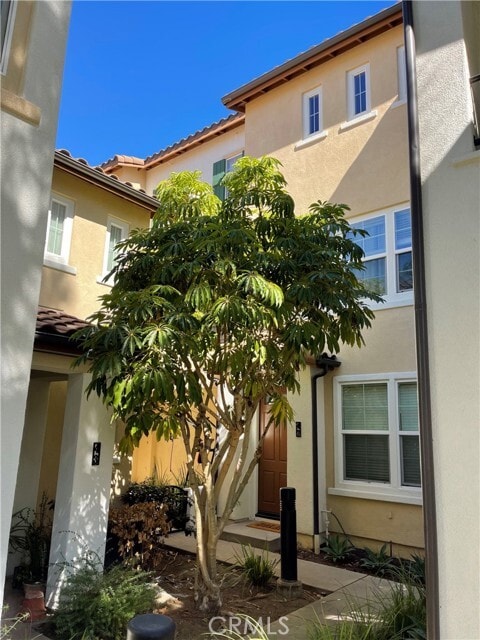 Photo - 47 Flowerbud