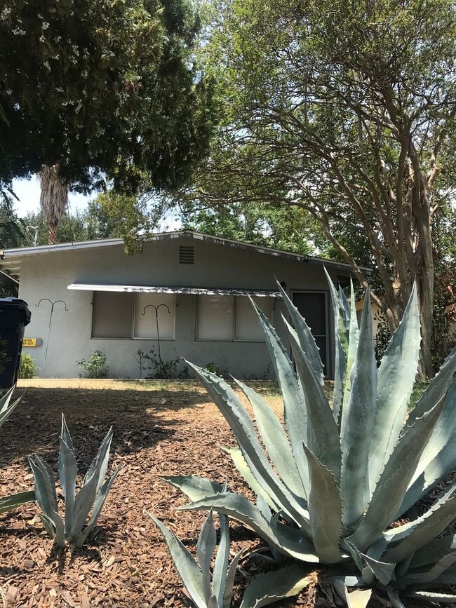 Building Photo - High Street (DD) Unit Freestanding Duplex