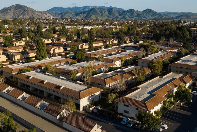 Photo - Camarillo Oaks