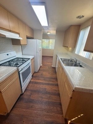 333B FEGAN - San Onofre 1