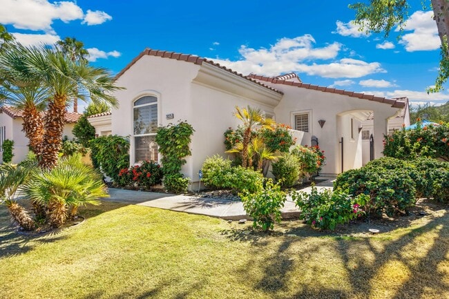 Photo - 79325 Toronja