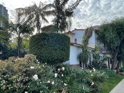 landscape - 10806 Lindbrook Dr Townhome