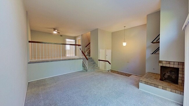 Photo - 4 Morning Star