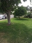 Photo - House for rent