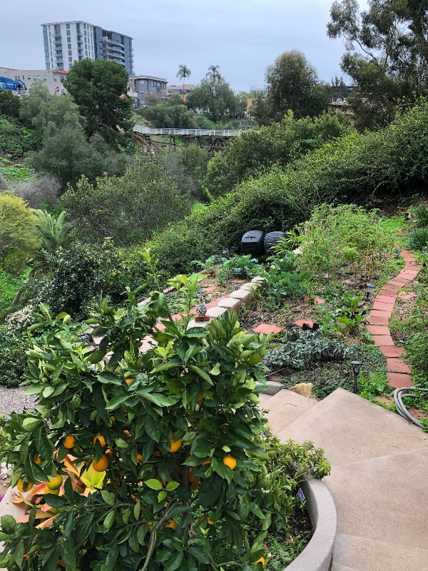 Photo - 3065 Third Ave Unit 1