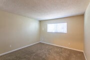 1 BR, 1 BA - 650 SF - Maple View Apartment