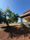 Photo - Spacious Somis Country Estate – 4+3 4,000 ...